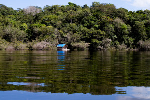 Alter do Chao, Santarem, Para, 03 junho 2010. Lagoa Verde.